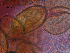  ( - H.IN.Pa.OSP.1.9)  @12 [ ] CreativeCommons - Attribution (2013) Sean Locke Centre for Biodiversity Genomics