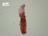  ( - D.IN.1.Ms.L28W.V39)  @13 [ ] Copyright (2010) Unspecified Environment Canada