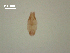  ( - D.IN.1.R.L50W.2)  @13 [ ] Copyright (2010) Unspecified Environment Canada