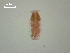  ( - D.IN.1.R.L50W.V19)  @13 [ ] Copyright (2010) Unspecified Environment Canada
