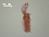  ( - D.IN.1.R.L50W.V20)  @13 [ ] Copyright (2010) Unspecified Environment Canada