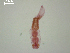  ( - D.IN.1.R.L50W.V21)  @13 [ ] Copyright (2010) Unspecified Environment Canada