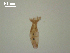  ( - D.IN.1.R.L50W.V32)  @13 [ ] Copyright (2010) Unspecified Environment Canada