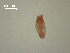 ( - D.IN.1.S.L46W.1)  @13 [ ] Copyright (2010) Unspecified Environment Canada