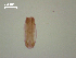  ( - D.IN.2.B.L47W.2)  @13 [ ] Copyright (2010) Unspecified Environment Canada