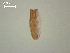  (Diplostomum sp. 1 SAL-2008 - D.IN.2.B.L47W.4)  @13 [ ] Copyright (2010) Unspecified Environment Canada