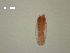  ( - D.IN.2.B.L47W.5)  @13 [ ] Copyright (2010) Unspecified Environment Canada