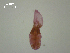  ( - D.IN.2.B.L47W.V53)  @13 [ ] Copyright (2010) Unspecified Environment Canada