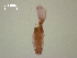  ( - D.IN.2.B.L47W.V55)  @13 [ ] Copyright (2010) Unspecified Environment Canada