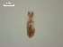  ( - D.IN.NCH.L2.1)  @12 [ ] Copyright (2010) Unspecified Environment Canada