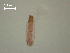  ( - D.IN.S.Na.L26W.1)  @13 [ ] Copyright (2010) Unspecified Environment Canada