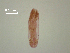  ( - D.IN.S.Nh.L29W.3)  @13 [ ] Copyright (2010) Unspecified Environment Canada