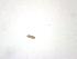 ( - D.RL.B.B.23.1)  @12 [ ] Copyright (2010) Unspecified Environment Canada