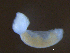  ( - S.IN.Lc.MTL.2.2)  @12 [ ] CreativeCommons - Attribution (2014) Sean Locke Centre for Biodiversity Genomics