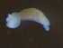  ( - S.IN.Lc.MTL.2.3)  @13 [ ] CreativeCommons - Attribution (2014) Sean Locke Centre for Biodiversity Genomics