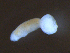  ( - S.IN.Lc.MTL.2.4)  @13 [ ] CreativeCommons - Attribution (2014) Sean Locke Centre for Biodiversity Genomics
