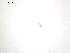 ( - T.LL.2.B.4.1)  @12 [ ] Copyright (2010) Unspecified Environment Canada