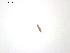  ( - T.RL.2.B.4.1)  @12 [ ] Copyright (2010) Unspecified Environment Canada