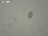  ( - U.RG.O.B.9.1)  @11 [ ] Copyright (2010) Unspecified Environment Canada