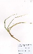  ( - MarIsl21)  @11 [ ] No Rights Reserved  Unspecified Unspecified