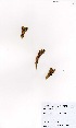  ( - MarIsl22)  @11 [ ] No Rights Reserved  Unspecified Unspecified