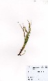  ( - MarIsl26)  @11 [ ] No Rights Reserved  Unspecified Unspecified