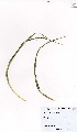  ( - MarIsl33)  @11 [ ] No Rights Reserved  Unspecified Unspecified
