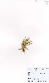  ( - MarIsl35)  @11 [ ] No Rights Reserved  Unspecified Unspecified