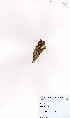  ( - MarIsl37)  @11 [ ] No Rights Reserved  Unspecified Unspecified