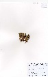  ( - MarIsl48)  @11 [ ] No Rights Reserved  Unspecified Unspecified