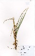  ( - MarIsl49)  @11 [ ] No Rights Reserved  Unspecified Unspecified