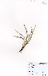  ( - MarIsl50)  @11 [ ] No Rights Reserved  Unspecified Unspecified