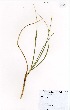  ( - MarIsl59)  @11 [ ] No Rights Reserved  Unspecified Unspecified