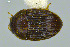  ( - FMNHINS3754181)  @11 [ ] CC BY-NC 4.0 (2013) Field Museum of Natural History Unspecified