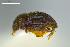  ( - FMNHINS3754181)  @11 [ ] CC BY-NC 4.0 (2013) Field Museum of Natural History Unspecified