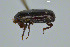  ( - FMNHINS3817009)  @11 [ ] CC BY-NC 4.0 (2013) Field Museum of Natural History Unspecified