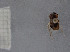  ( - FMNHINS4429645)  @11 [ ] CC BY-NC 4.0 (2013) Field Museum of Natural History Unspecified