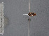  ( - FMNHINS4429649)  @11 [ ] CC BY-NC 4.0 (2013) Field Museum of Natural History Unspecified