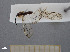  ( - FMNHINS4429666)  @11 [ ] CC BY-NC 4.0 (2013) Field Museum of Natural History Unspecified