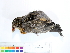  ( - BIOUG31014-B11)  @11 [ ] CreativeCommons - Attribution (2016) CBG Photography Group Centre for Biodiversity Genomics
