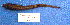 ( - UW115154)  @12 [ ] Unspecified (default): All Rights Reserved  FMV420-09 Unspecified