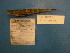  ( - UW119882)  @13 [ ] Unspecified (default): All Rights Reserved  Unspecified Unspecified