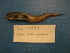  (Cataetyx rubrirostris - UW119892)  @13 [ ] Unspecified (default): All Rights Reserved  Unspecified Unspecified