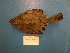  ( - UW150005)  @12 [ ] Unspecified (default): All Rights Reserved  Unspecified Unspecified