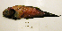  ( - UW150587)  @12 [ ] Unspecified (default): All Rights Reserved  Unspecified Unspecified
