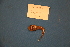  ( - UW153315)  @11 [ ] Unspecified  Unspecified default Unspecified