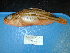  ( - UW117005)  @11 [ ] Unspecified (default): All Rights Reserved  Unspecified Unspecified