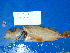  ( - UW119950)  @12 [ ] Unspecified (default): All Rights Reserved  Unspecified Unspecified