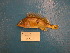  ( - UW150010)  @12 [ ] Unspecified (default): All Rights Reserved  Unspecified Unspecified