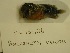  ( - UW151156)  @11 [ ] Unspecified (default): All Rights Reserved  Unspecified Unspecified